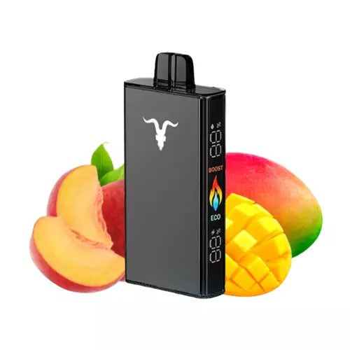 Ignite 25000 (V250)